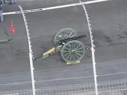 Skipper at the Battle of Bristol (2016)