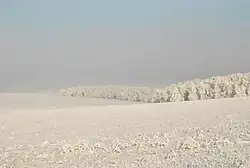 Blagodarnovsky reserve, Tashlinsky District