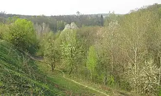 Southeastern edge of the hillfort in 2009 (still intact). The scarp and berm are seen.