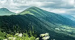 Tumsoy-Lam, Gums taӀan court (Chechen: Гумс таьӀан корт)