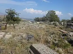 Օրգով ԱՄՐՈՑCastle