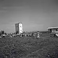 Members of Eitanim building defences Tel Mond, 1947