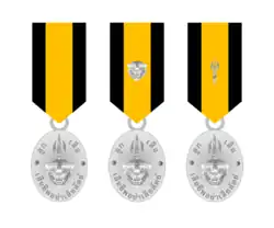 The Boy Scout Citation Medals
