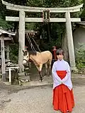 A miko, shrine maiden, in front of a horse and torii gate.