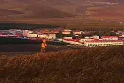Residential area in Saihanba.