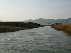 Island in the river's estuary