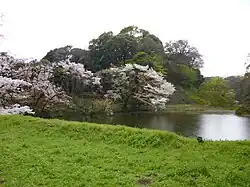The moat of the Imperial Palace in spring