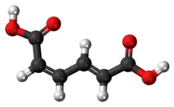 Ball-and-stick model of the cis,trans-muconic acid molecule