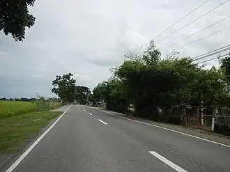 03412jfNueva Ecija Pangasinan Road Welcome Santo Domingo Guimba Ecijafvf 37.JPG