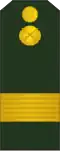 Sergent-major (Moldovan Ground Forces)[31]