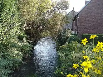 The Cailly river in Déville-les-Rouen