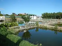 Quadrilateral fish ponds with near a collection of one and two stories buildings