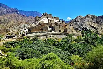 The village of Dhi 'Ain in Al-Bahah Province