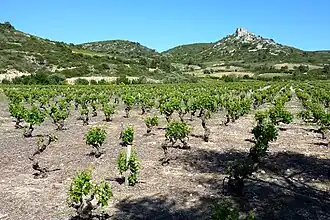 The ruins of the Castle