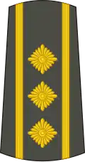 Пуковник Pukovnik[18] (Serbian Army)