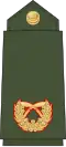 Brigadier general (Nepali: सहायक रथी, romanized: Sahaayak rathee) (Nepalese Army)[38]