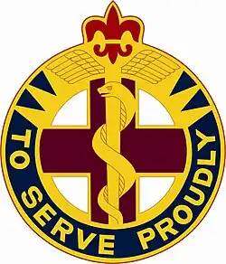 Distinctive Unit Insignia, 176th Medical Brigade