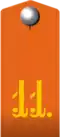 Dragoon shoulder straps (1882), 11th Kharkov Dragoon Regiment