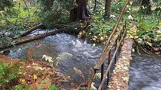 Kelsey Creek in the Crossroads area following a fall rain storm