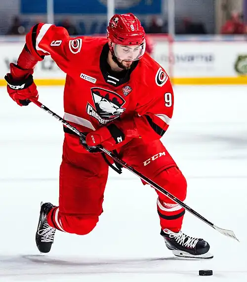 2019 Calder Cup Finals - Game 1 - Chicago Wolves at Charlotte Checkers - June 1, 2019 - Tomáš Jurčo (48039014107).jpg