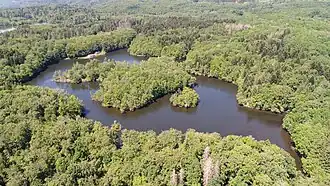 A dotted pond occupied by a large island and surrounded by forest