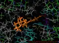 Visualization of the retinal bound active site of the 2L6X protein structure of pRhodopsin, residues color coded and labeled by activity, ligand is orange.