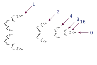 The 2-adic integers. Showing all of the 2-adic rationals would include an infinite sequence of clumps moving to the left of the figure.