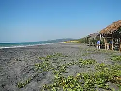 Aringay Beach in Samara