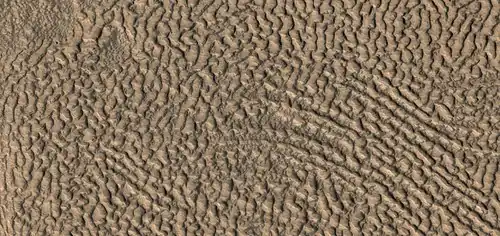 Close, color view of brain terrain, as seen by HiRISE under HiWish program