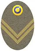 Hat badge (Mössmärke m/1940) for a lieutenant in the army