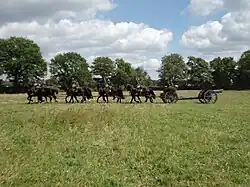 A 7 veld gun with caisson and horse team.