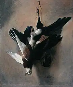 A Pigeon and Magpie, 1685, Aberdeen Art Gallery