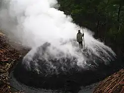 An aerial view of a bearded man in a coat, with a handmade rake, standing on a low, ~10m wide, rounded mound of black earth. The mound is emitting many slender streamers of smoke from all of its surface except the bottommost meter. The steamers merge and stream diagonally away from the viewer on a gentle but chill morning breeze, making an opaques white cloud. The visible background is dark coniferous forest; in the foreground, a glimps of another pile, this one tightly packed wood not yet covered with soil.