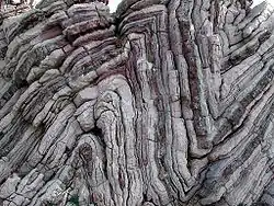 Tight folds in limestone and chert, Crete, Greece