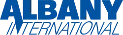 The word "Albany" in bolded sans-serif capitals of even stroke weight, with the right leg of the "A" becoming a descender, forming the diagonal of the "N", in the word "International" below, oblique in a much more lightweight stroke. Both words are rendered in dark blue.