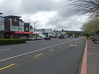 Albany Village along Dairy Flat Highway.jpg