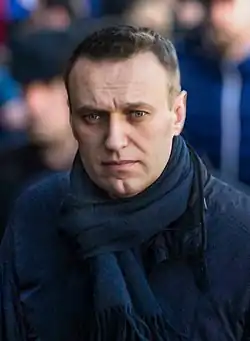 Navalny in 2017