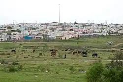 The Shantytown outside of the Allanridge Community Center