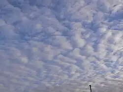 Mackerel sky over Heidelberg, Germany