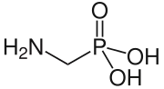 Aminomethylphosphonic acid (AMPA), the simplest possible aminophosphonate.