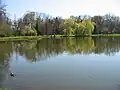 A pond in the arboretum next to the castle