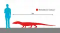 Size comparison