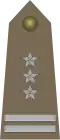 Poland (pułkownik)