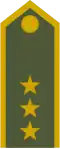 Plukovník[19] (Slovak Ground Forces)