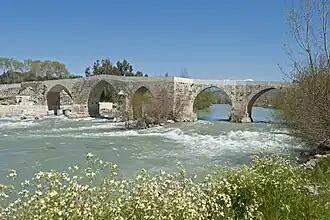 The Eurymedon Bridge