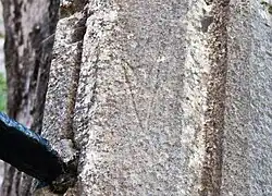 Arrowhead-shaped mason's mark in Athenry Priory, Ireland, 13th century