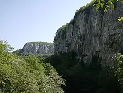 The river gorge near Bacho Kiro Cave