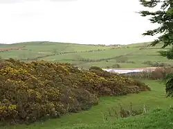 Ballydargan Lake from the Ballylucas Road (2012)