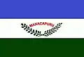 Flag of Manacapuru