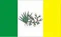 Flag of Picuí (Paraíba)